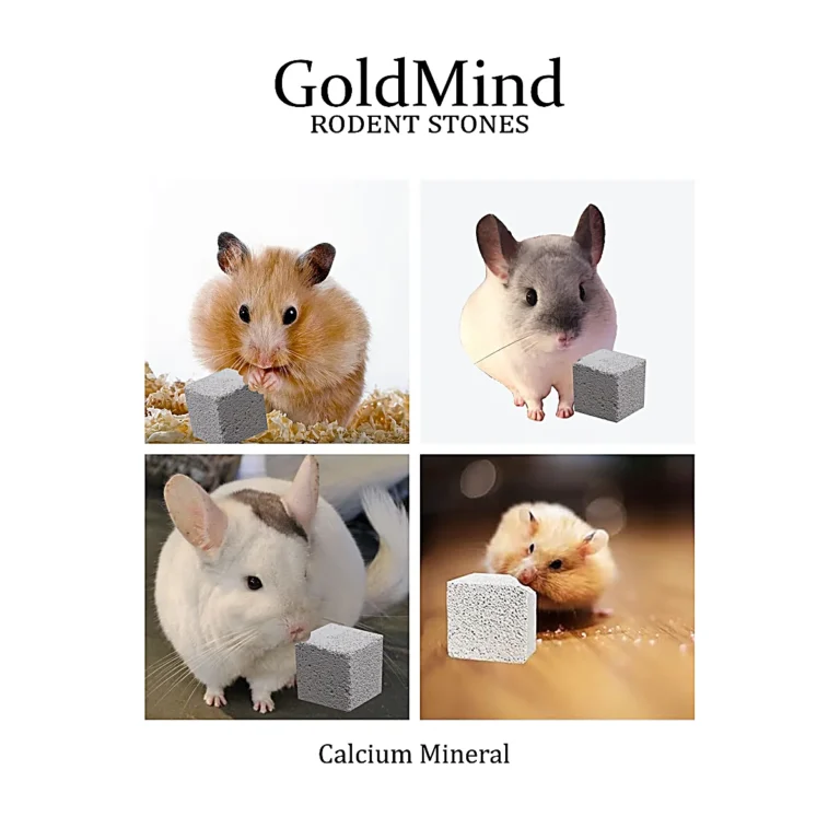 GoldMind kemirgen kemirme taşı tanıtım görseli: hamster, chinchilla, guinea pig ve tavşan kemirme taşı ile